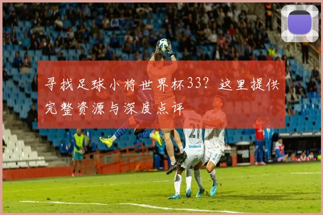 寻找足球小将世界杯33？这里提供完整资源与深度点评