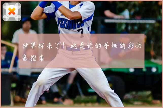世界杯来了！这是你的手机购彩必备指南