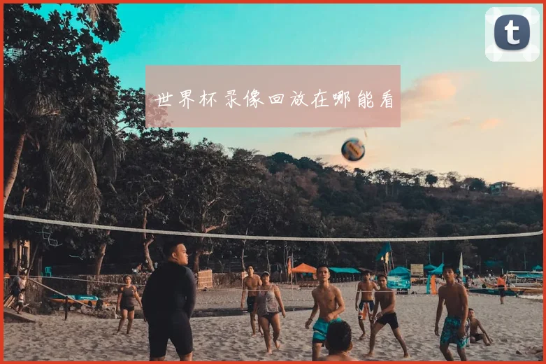 世界杯录像回放在哪能看