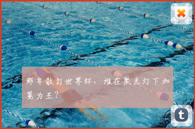那年散打世界杯,谁在聚光灯下加冕为王?