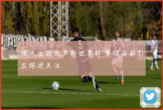 埃及出战俄罗斯世界杯 赛程安排引发球迷关注