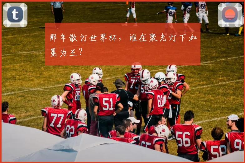 那年散打世界杯,谁在聚光灯下加冕为王?