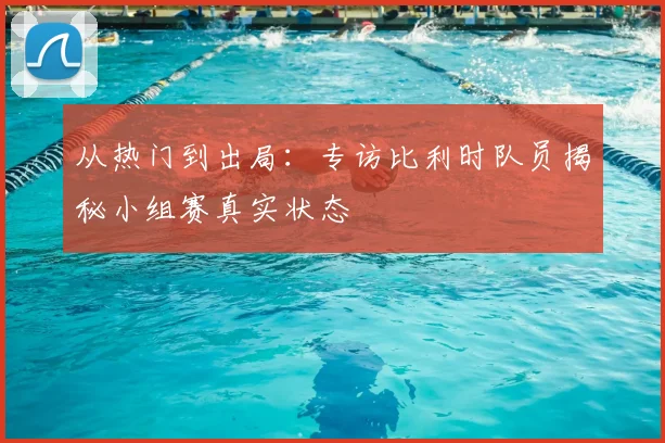 从热门到出局:专访比利时队员揭秘小组赛真实状态