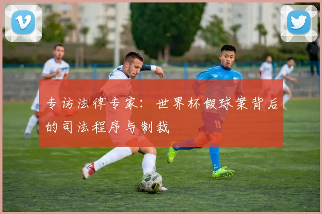 专访法律专家：世界杯假球案背后的司法程序与制裁